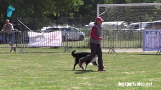 Selection - Galina Fedorova + Desh Miracle / Border Collie