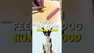 Can I Feed my Dog Human Food?