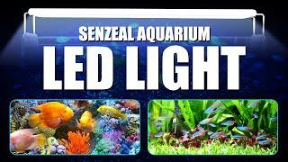 Aquarium Light Show - from senzeal.com