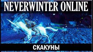 Немного про скакунов (для ДД) в M28 / neverwinter online m28