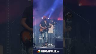 Marley's Ghost & Andrew Murphy @ Turnpike Reggae Festival 2024