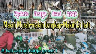 LATEST.!!! CONDITION OF THE DAPIT LOVEBIRD MARKET IN SIDOARJO