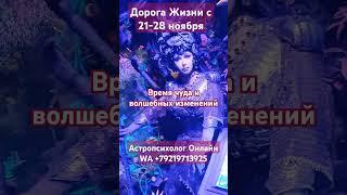 #Дорога_жизни с 21-28 ноября #чудо #волшебство