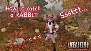 Lifeafter - How to catch a RABBIT | Cara Menangkap Kelinci & Memelihara Kelinci | Tips & Tricks