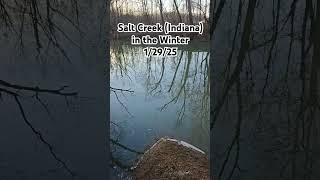 Salt Creek (Indiana) in the Winter 1/29/25