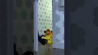So scary ️ #humor #babyduck #spiders