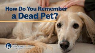 Remember a Dead Pet | Paws, Whiskers & Wags