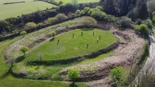 Stone circle discovered in prehistoric henge