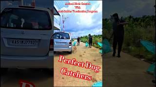 Super Dog Catchers davanagere City #streetdogplanet44 #ytshortsindia #dog #new #rescue