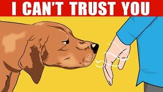 How Dogs Can Recognize a Bad Person (And Other Dog Incredible Abilities Explained)