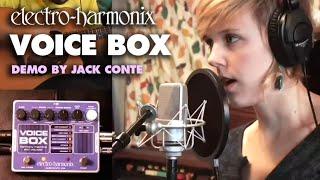 Electro-Harmonix Voice Box Vocal Harmony Machine / Vocoder (EHX Pedal Demo by Jack Conte)