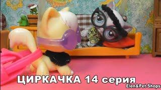 LPS: Циркачка 14 серия