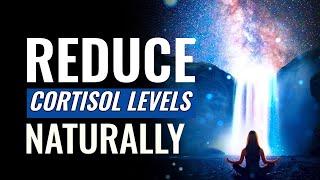 Reduce Cortisol Levels Naturally | Stress Reduction Music Therapy | Brain Calming Sound Vibrations