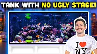 PRISTINE 250 Gallon Mixed Reef Tank! Man Cave Turned Fish Room!