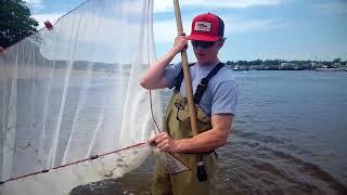 UNE Seine Netting Research in Maine