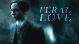 Tom Riddle | Feral love