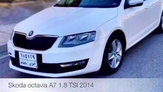 Skoda octavia vs kia opirus