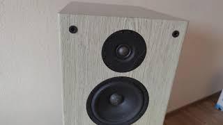 Российский усилитель Hi End PAS-240 Модель 6 - Звук!