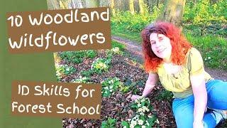 Woodland Wildflower Identification for Forest School – How to Identify 10 Wildflowers & their Uses