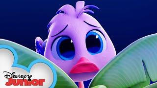 Thunder and Frightening | T.O.T.S. | @disneyjr