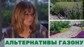 Альтернативы газону, газон на участке, озеленение участка, ландшафтный дизайн участка