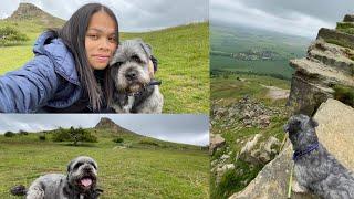 ‍‍️Sootie’s first time walk to Roseberry Topping June 2022