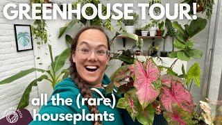 Greenhouse plant tour - all the plants in our greenhouse | Plant with Roos