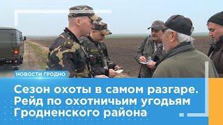 Охота на охотников. Что показал рейд по охотничьим угодьям Гродненского района?