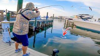 This is Why You Throw Small Baits under Destin Harbor Docks!