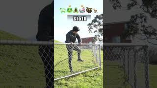 How Animals Get Over a Fence (With Emojis) 