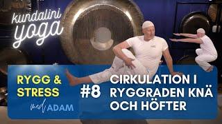 Kundaliniyogakurs "Rygg & Stress" - Kurstillfälle 8