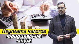 Налоги юридических лиц | Какое грозит наказание за неуплату налогов