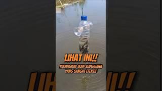 Perangkap Ikan Gampang dan Murah!! #shorts #mancing