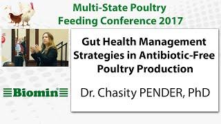 Gut Health Management Strategies in Antibiotic-Free Poultry Production