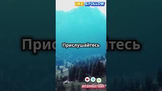 Безмятежность гор #tiktok #шортс #shorts #travel  #facts #рекомендации #fyp #vip #факты  #животные