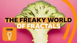 How fractals can help you understand the universe | BBC Ideas