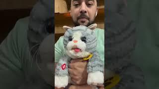 Toyzone.pk | Learn To Speak Plush Cat #cat #stuffedanimals #plush #cashondelivery #pakistan