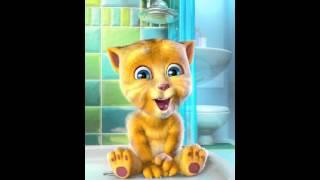 Talking Ginger yolo man