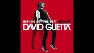 David Guetta - Play Hard (feat. Ne-Yo & Akon) [Audio]