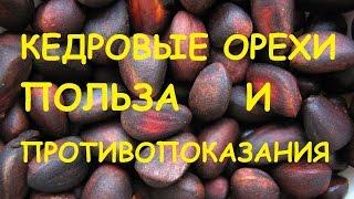 Кедровые орехи. Полезные свойства и противопоказания.