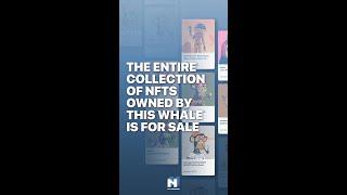 The Most Expensive Cryptopunk Nft Is For Sale Because The Owner Is Out Of Money.