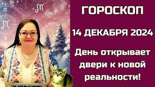 Гороскоп на 14 декабря 2024. Шансы превращают в успех только те, кто готов к действию.