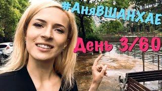 #АняВШАНХАЕ! День 3 из 60 | Аня Гресь VLOG | Anya Gres