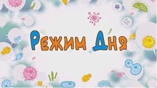 Режим дня