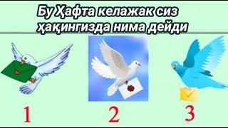 Кабутарлардан бирини танланг ва бу ҳафта келажагингиз ҳақида кӯп нарса айтади.