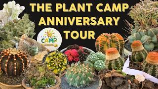 Discover Unique Cacti, Succulents, and Euphorbias at The Plant Camp 1st Anniversary Tour