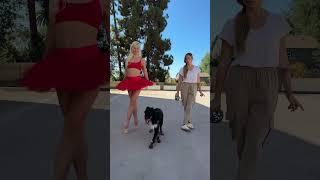 Dance stepping with Roni Sagi & Rhythm! ️ #dancers #agt #rhythm #ballerina #doglover
