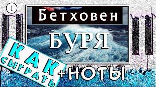 Бетховен – Соната №17 Буря на Пианино  ОБУЧЕНИЕ + НОТЫ