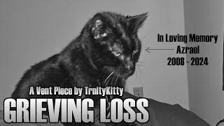 TrinityKitty - Grieving Loss