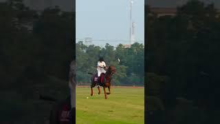 Polo in Lahore #polo #sports #horse #pakistan #argentina #usa #uk #dubai #youtubeshorts #youtube